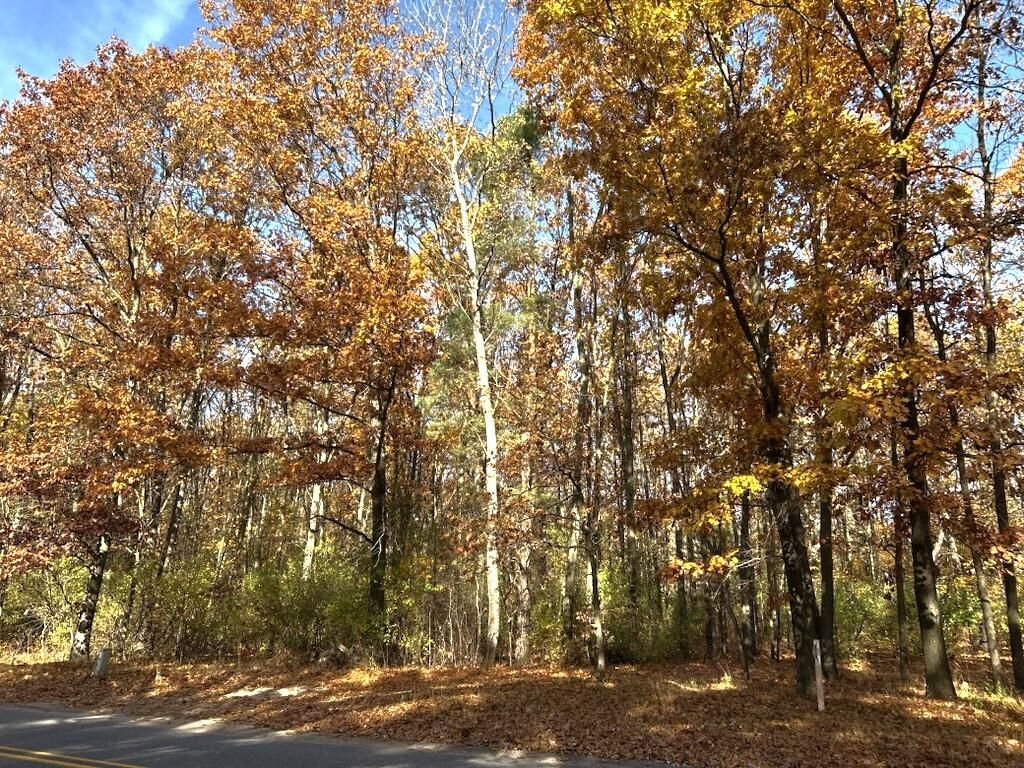 Vl Burroughs Street Ne, Lowell, MI 49331 Main Photo