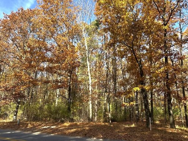 VL Burroughs Street NE, Lowell, MI 49331