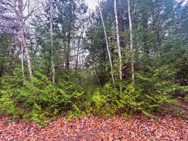 Lot 14 E Grand Lake Road, Presque Isle, MI 49777