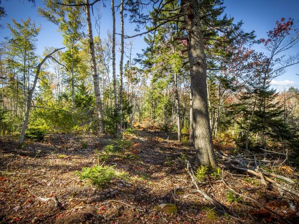 Lot 5 Jack's Lane, Bristol, ME 04554