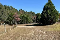 668 Briar Creek Road photo 4