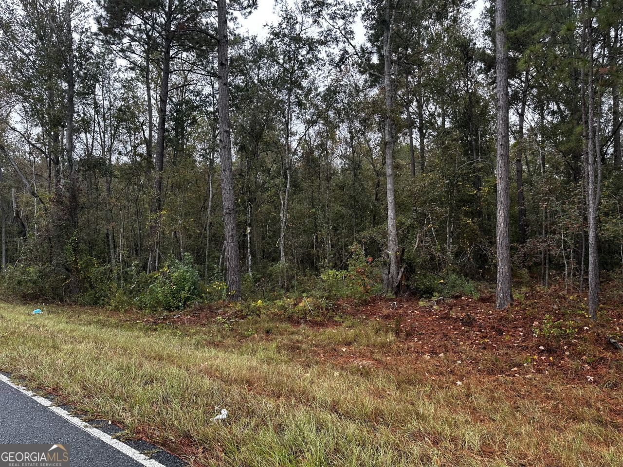 0 Erick Road, Alamo, GA 30411 Main Photo