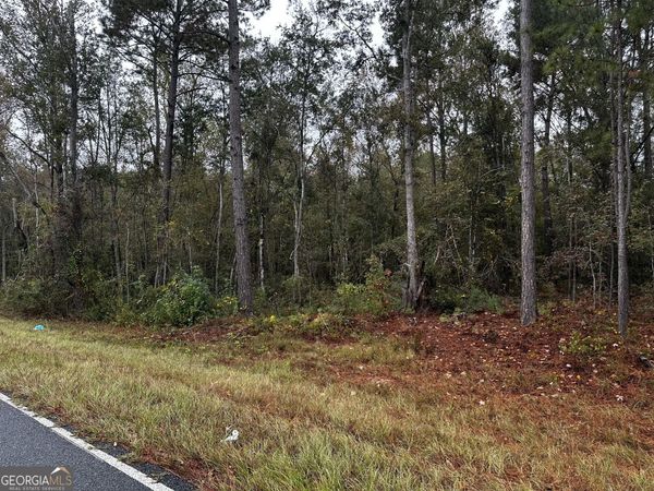 0 ERICK Road, Alamo, GA 30411