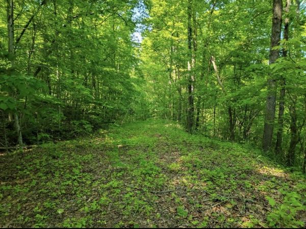 0 Shetland trace , Sparta, TN 38583