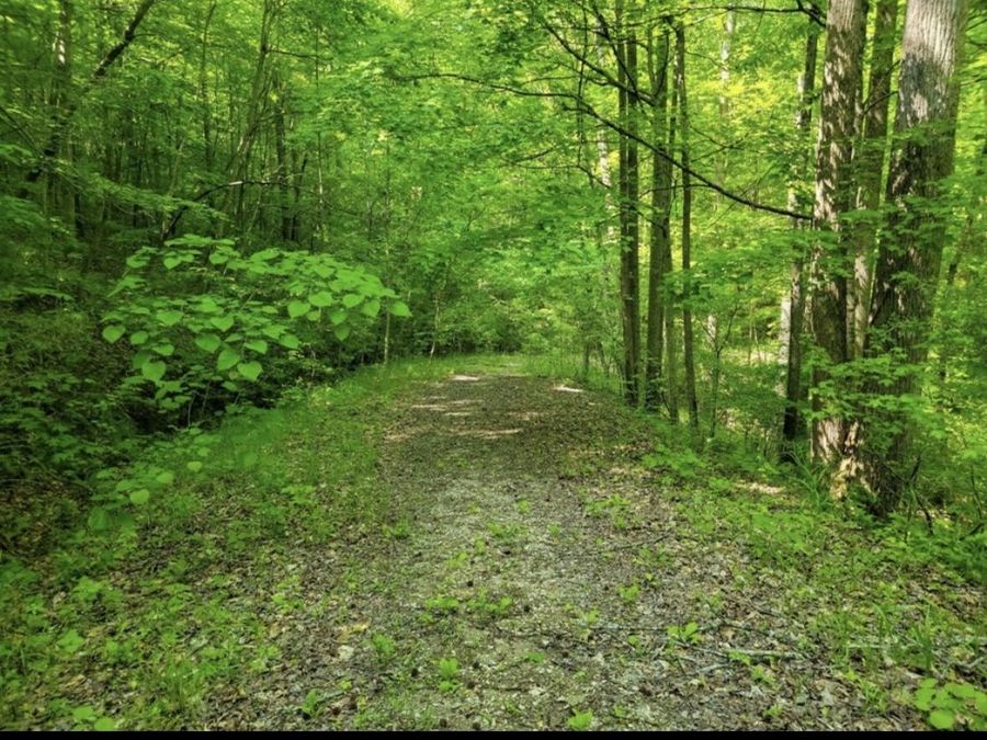 Property Image 6