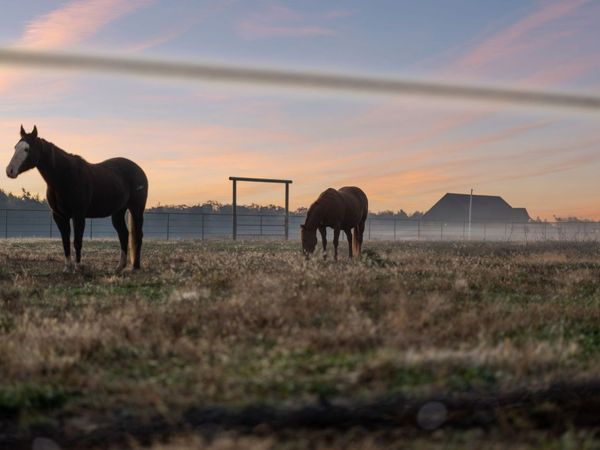 201 Lamb Rd, Rockvale, TN 37153