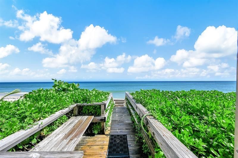 1161 Hillsboro Mile, Unit 207, Hillsboro Beach, FL 33062 Photo