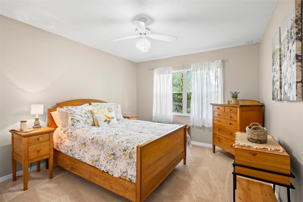 3418 E Lake Drive, Land O Lakes, FL 34639 Photo