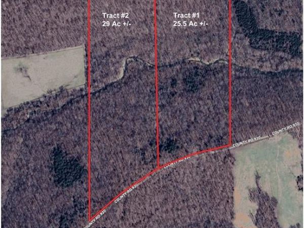 Tract 2 BCR 930, Patton, MO 63662