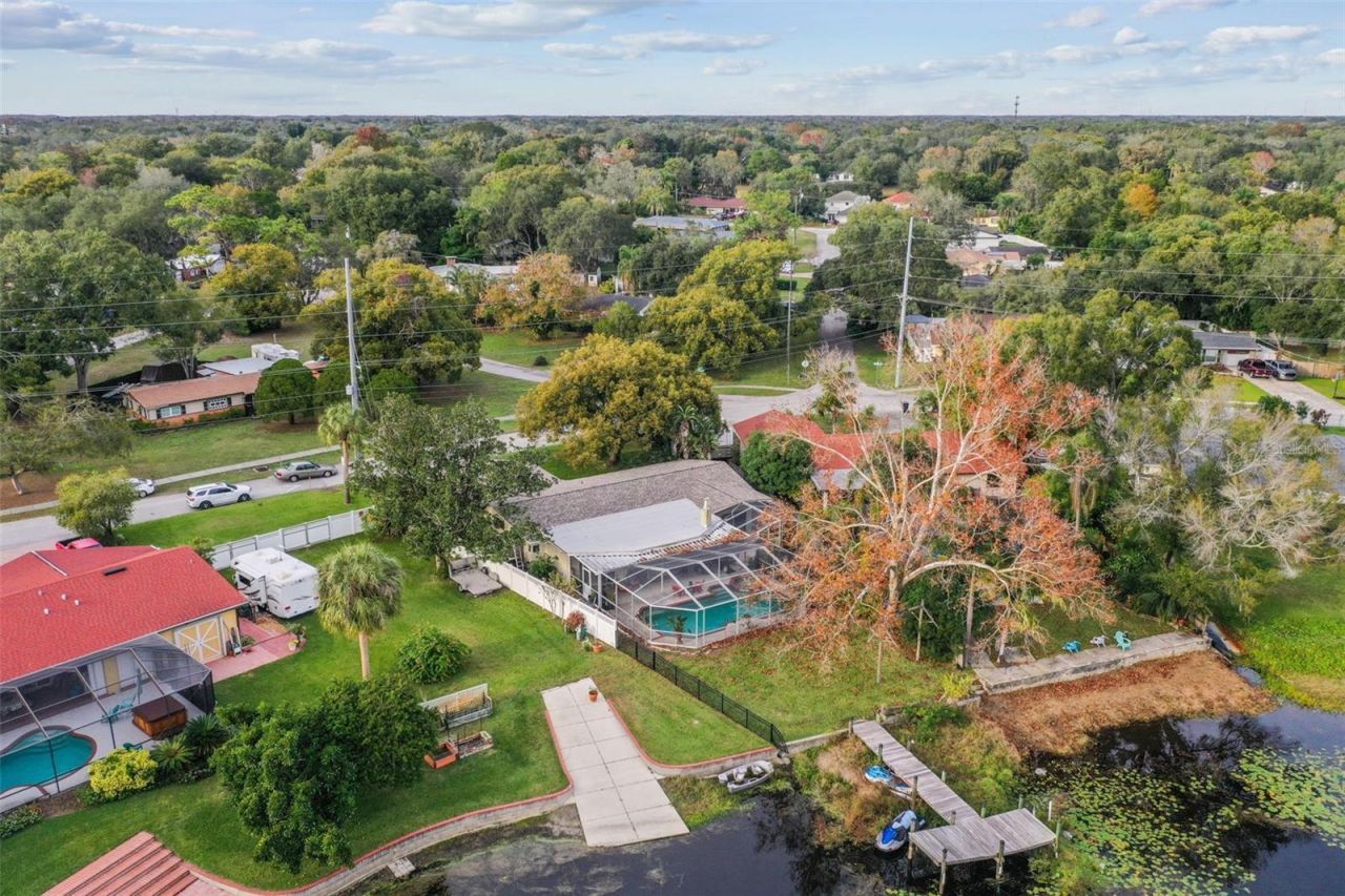 1204 Eckles Drive, Tampa, FL 33612 Photo