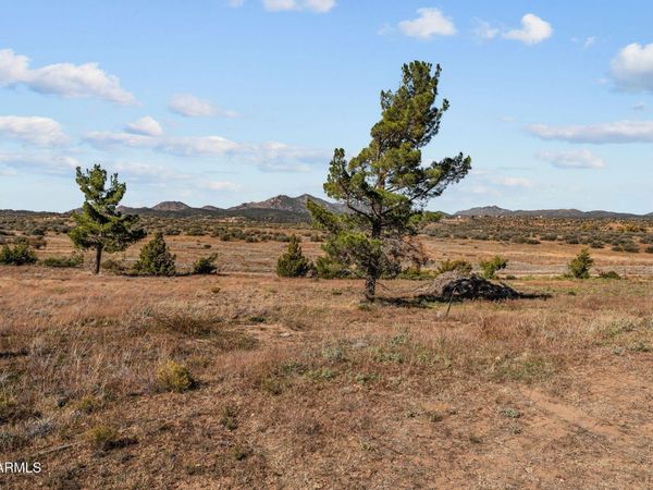 41AC SICKLES RANCH Road, Unit -, Peeples Valley, AZ 86332