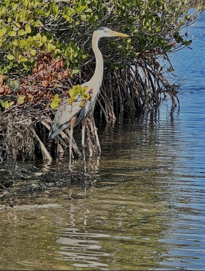 14211 W Saint Martins Road, Crystal River, FL 34429 Photo