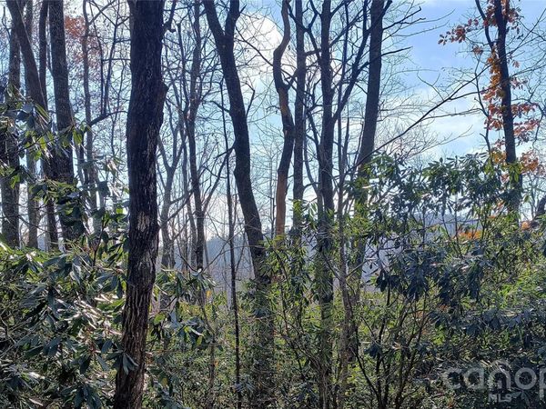 Lot 322 Sunny Drive, Newland, NC 28657