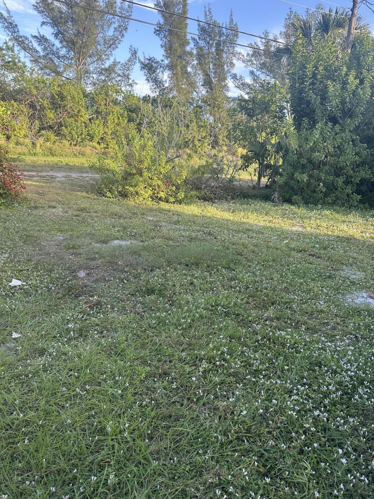 1210 Avenue R, Riviera Beach, FL 33404 Photo