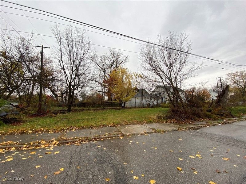 12625 Luke Avenue, Cleveland, OH 44120 Photo 2