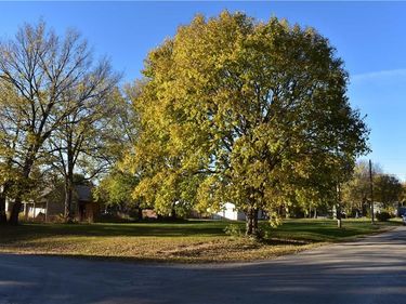 3rd Street, Burlington Jct, MO 64428