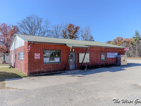 11991 N Woodbridge Avenue, Bitely, MI 49309