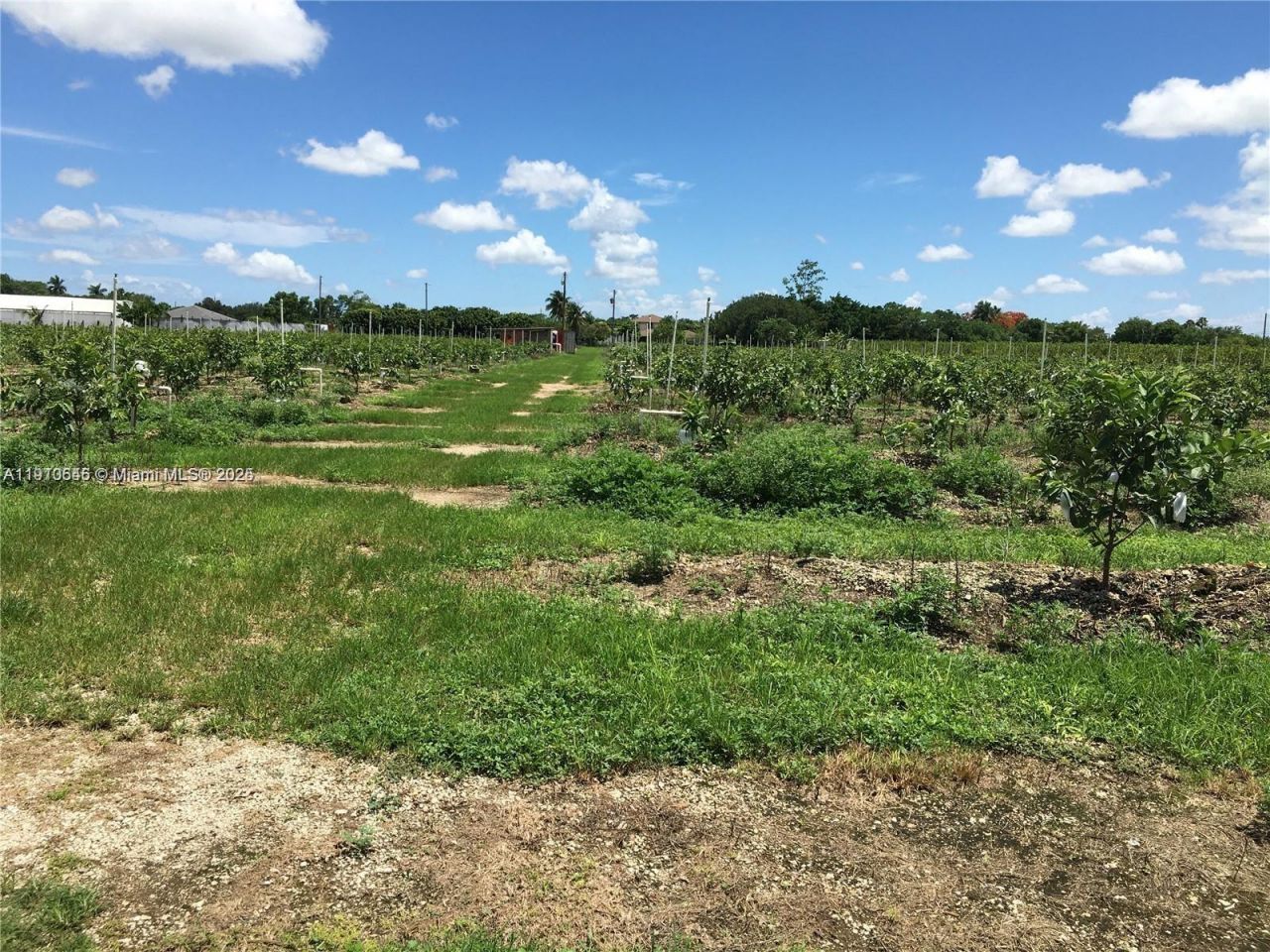 15000 SW 256 St., Homestead, FL 33032 Photo