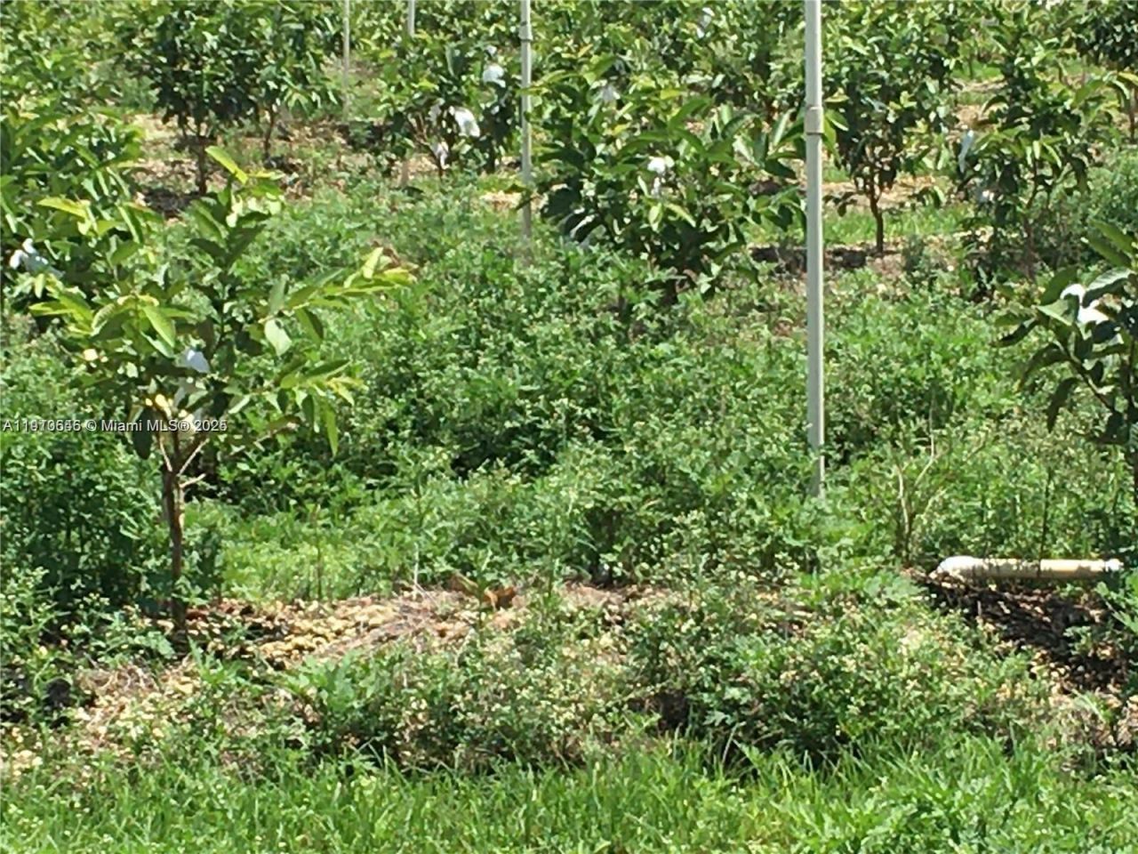 15000 SW 256 St., Homestead, FL 33032 Photo