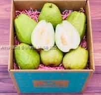 15000 SW 256 St., Homestead, FL 33032 Photo