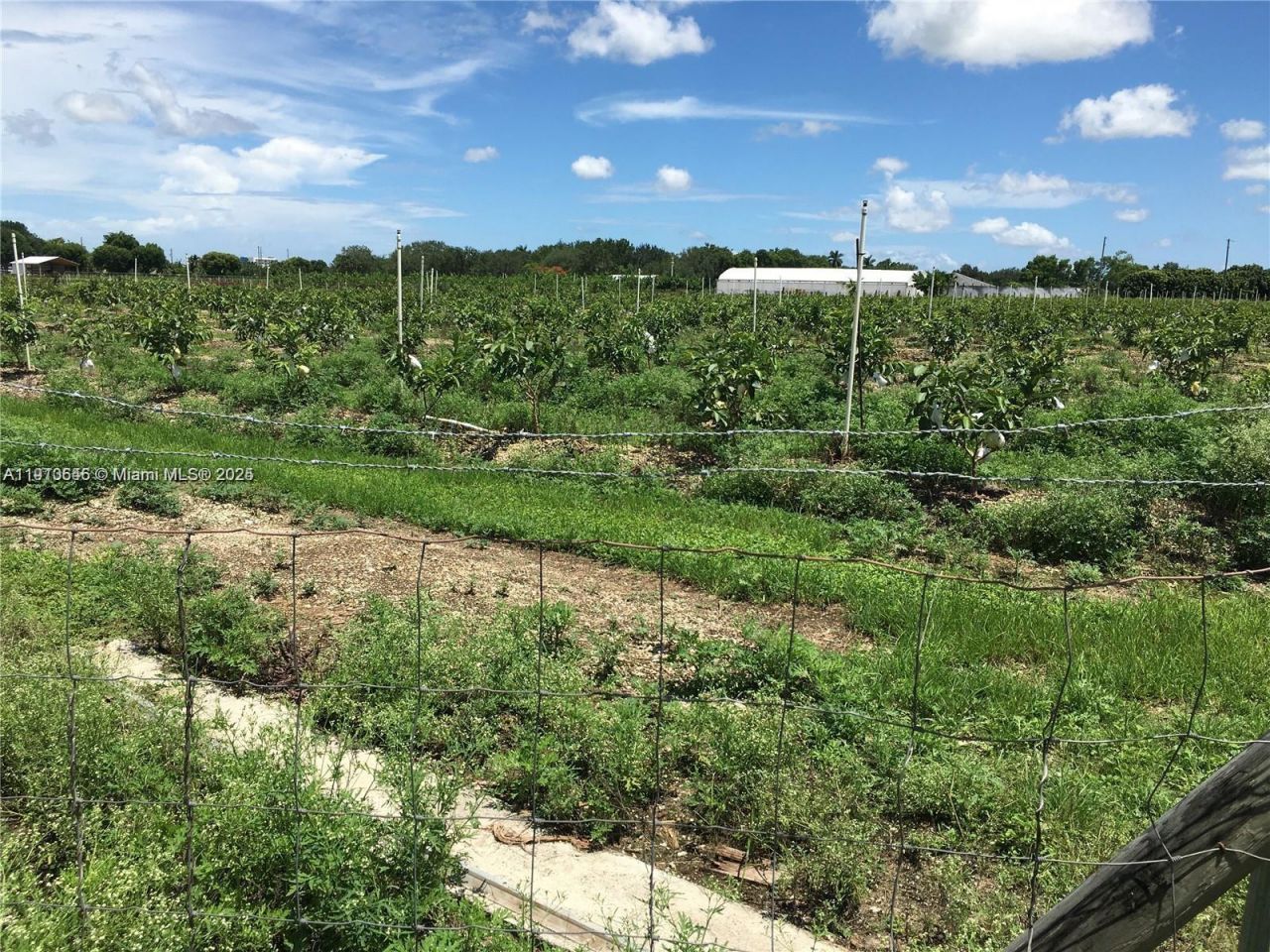 15000 SW 256 St., Homestead, FL 33032 Photo