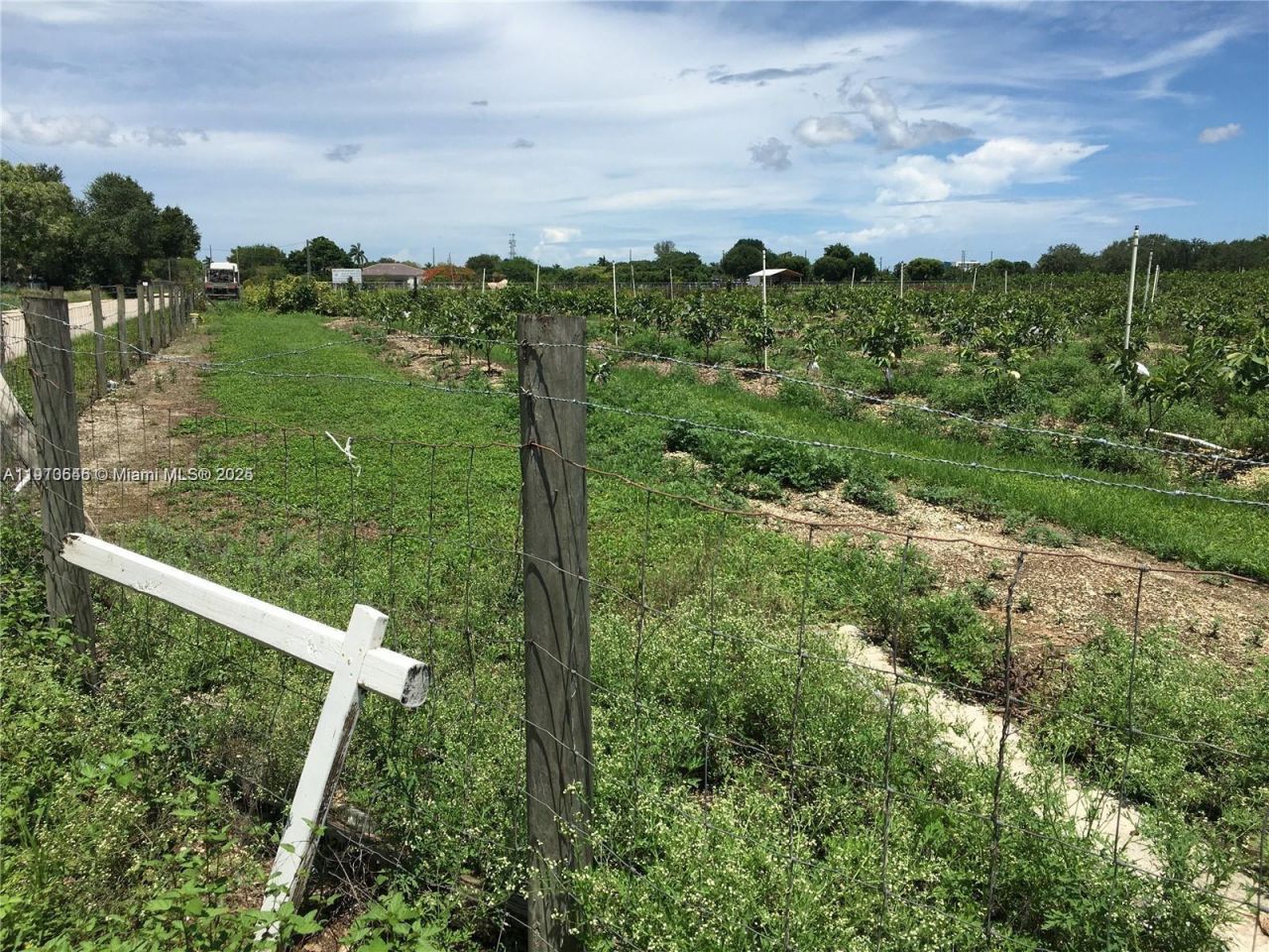 15000 SW 256 St., Homestead, FL 33032 Photo