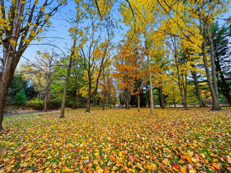 8001 Johnstown Alexandria Road, Johnstown, OH 43031 Photo 42