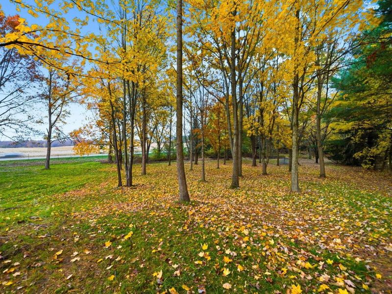 8001 Johnstown Alexandria Road, Johnstown, OH 43031 Photo 44