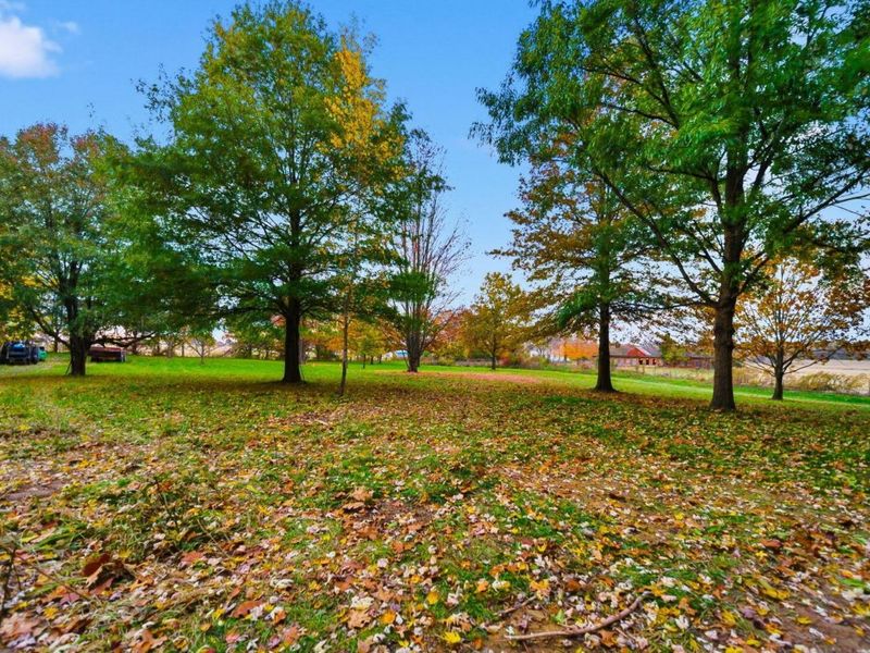 8001 Johnstown Alexandria Road, Johnstown, OH 43031 Photo 51