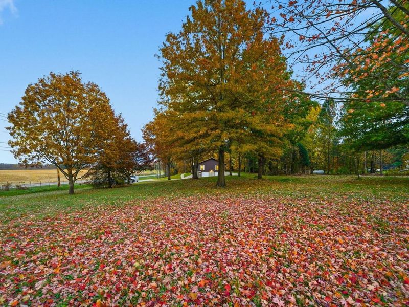 8001 Johnstown Alexandria Road, Johnstown, OH 43031 Photo 52