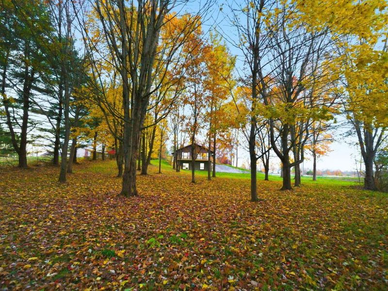 8001 Johnstown Alexandria Road, Johnstown, OH 43031 Photo 57