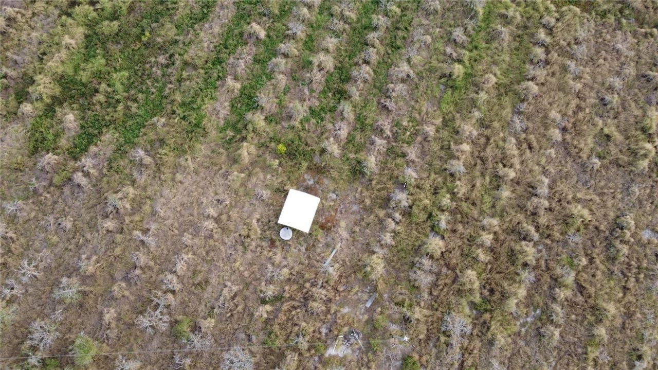 7630 Lake Buffum Road N, Fort Meade, FL 33841 Photo