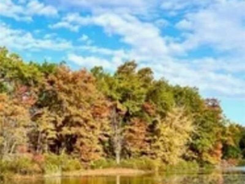 45 Forest Cove Drive, Unit 24, Akron, OH 44319 Photo 44