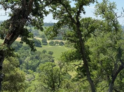 Vaira Ranch, Drytown, CA 95699 Photo
