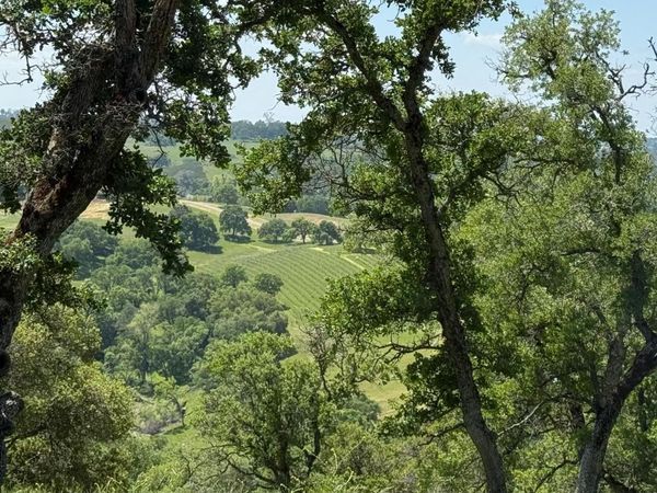 Vaira Ranch, Drytown, CA 95699