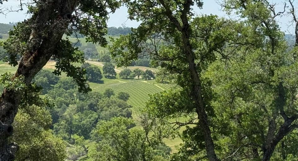 Vaira Ranch, Drytown, CA 95699 Photo