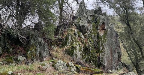 Vaira Ranch, Drytown, CA 95699 Photo