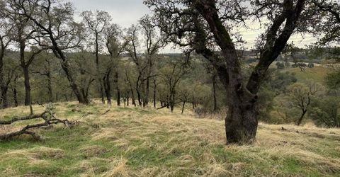 Vaira Ranch, Drytown, CA 95699 Photo