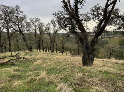 Vaira Ranch, Drytown, CA 95699 Photo