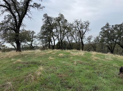 Vaira Ranch, Drytown, CA 95699 Photo
