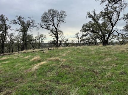 Vaira Ranch, Drytown, CA 95699 Photo