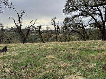 Vaira Ranch, Drytown, CA 95699 Photo