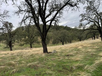 Vaira Ranch, Drytown, CA 95699 Photo