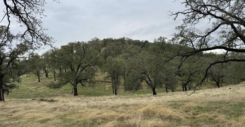 Vaira Ranch, Drytown, CA 95699 Photo