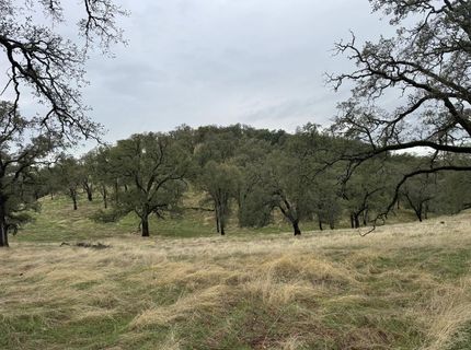 Vaira Ranch, Drytown, CA 95699 Photo