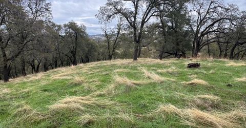 Vaira Ranch, Drytown, CA 95699 Photo