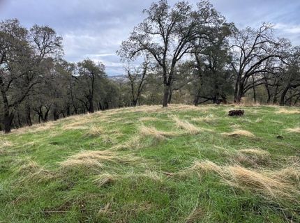 Vaira Ranch, Drytown, CA 95699 Photo