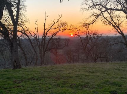 Vaira Ranch, Drytown, CA 95699 Photo