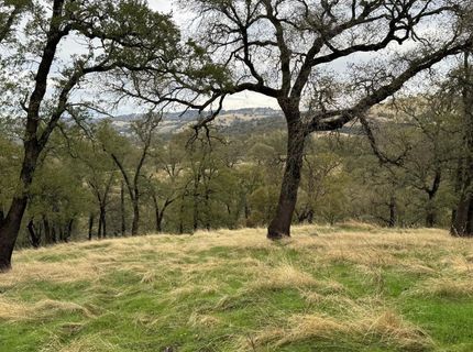 Vaira Ranch, Drytown, CA 95699 Photo