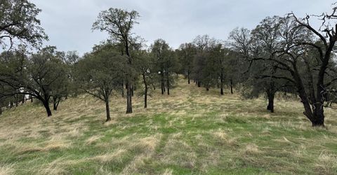 Vaira Ranch, Drytown, CA 95699 Photo